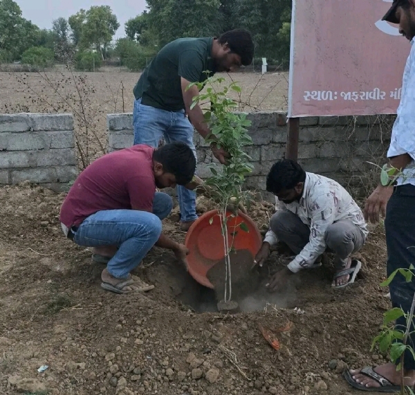 મહેસાણામાં ઊંઝા તાલુકા ભાજપ પ્રમુખ હર્ષદભાઈ પટેલના જન્મદિવસ નિમિત્તે વૃક્ષારોપણ