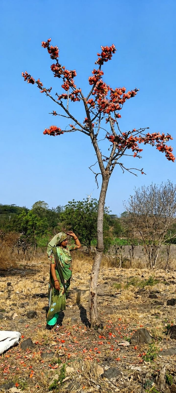 Ranjan Gabu, a woman farmer from Chotila, gave new impetus to the resolve of a poison-free Gujarat.
