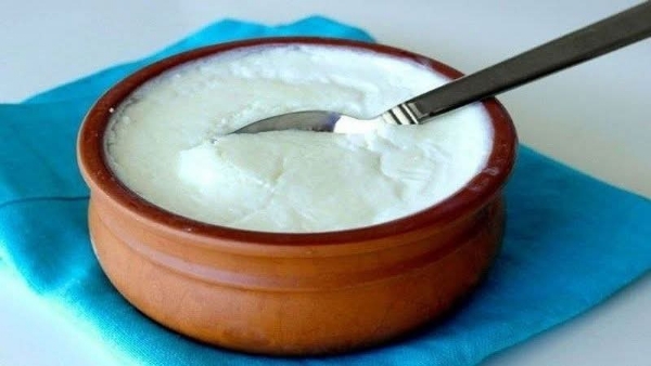 ભાવનગર