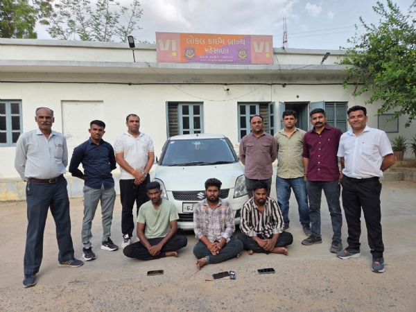 મહેસાણા એલસીબીએ પશુ ચોરીના ગુનામાં ત્રણ આરોપીઓને ઝડપી પાડ્યા મહેસાણા એલસીબીએ પશુ ચોરીના ગુનામાં ત્રણ આરોપીઓને ઝડપી પાડ્યા