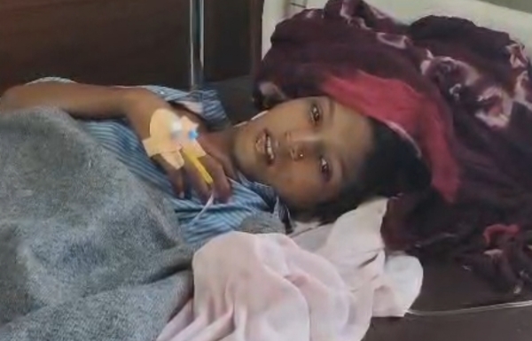 દિપડો