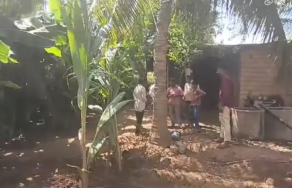 દીપડો દેખાતા ગ્રામજનોમાં ભયનો માહોલ