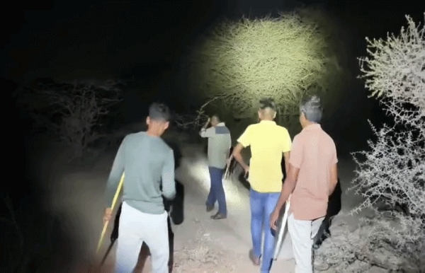 દીપડો દેખાતાં ભયનો માહોલ દીપડો દેખાતાં ભયનો માહોલ