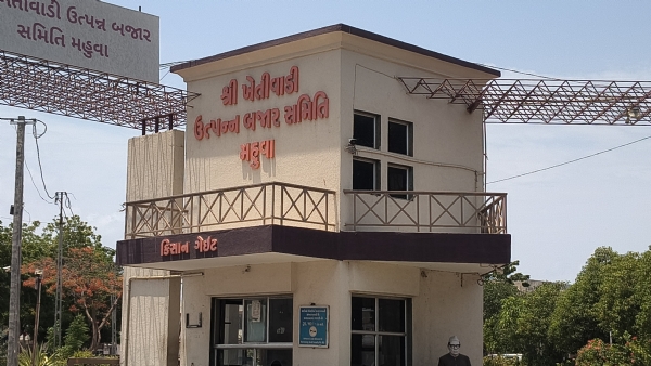 યાર્ડ ફાઈલ ફોટો