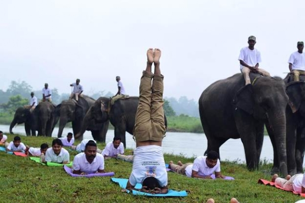 યોગ દિવસ પર યોગ કરતા લોકો