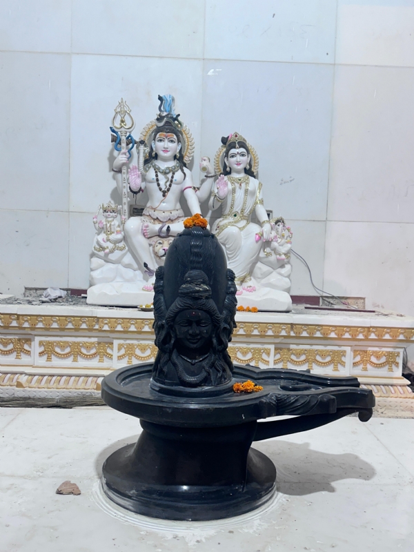 રાજેશ્વરી ધામે પ્રાણપ્રતિષ્ઠા મહોત્સવ સમપ્પન.