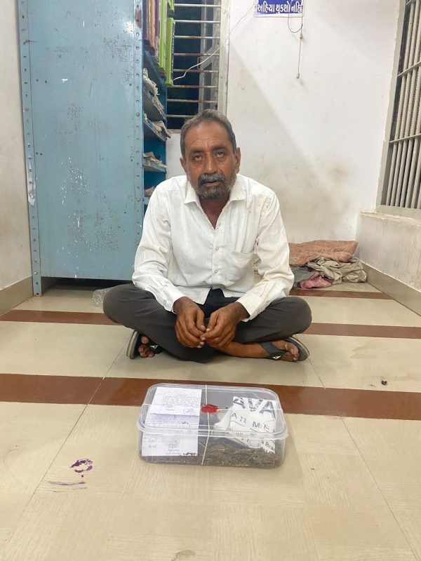 રાણાવાવમાં 188 ગ્રામ ગાંજા સાતગે શખ્સ ઝાડપાયો.
