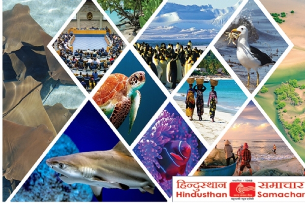 ગૌવંશ કેસ
