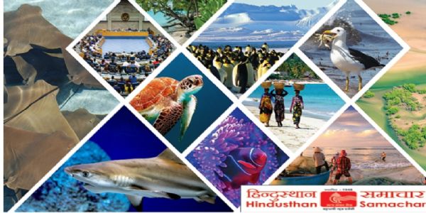 રામવાવમાં રામ મંદિર નજીક ગૌવંશના અવશેષો મળતાં ભારે ચકચાર; પોલીસ, ફોરેન્સિક અને વેટરનરી ટીમે શરૂ કરી સઘન તપાસ