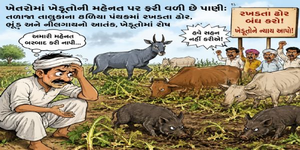 ખેતરોમાં ખેડૂતોની મહેનત પર ફરી વળ્યા છે પાણી: તળાજા તાલુકાના ઠળિયા પંથકમાં રખડતા ઢોર, ભૂંડ અને નીલગાયનો આતંક, ખેડૂતોમાં રોષ