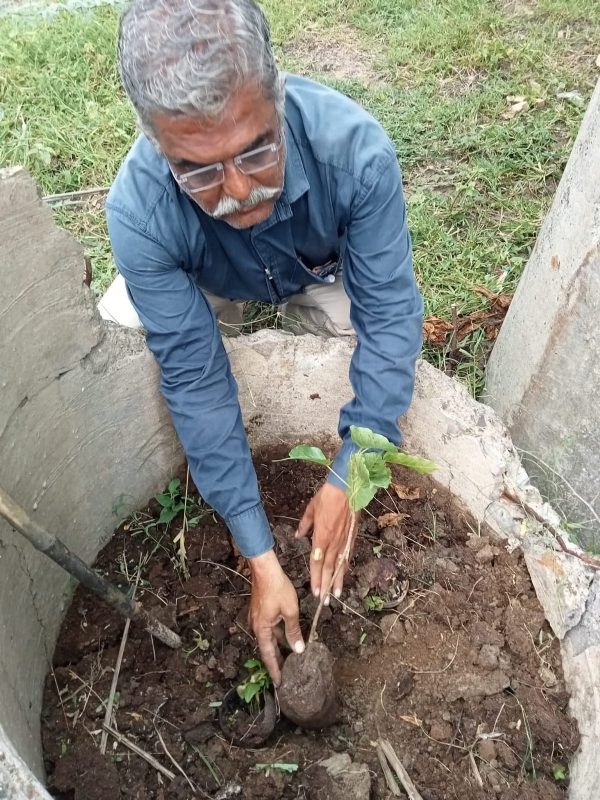 બીજનું વાવેતર કરતાં કલ્પેશભાઈ ભટ્ટ