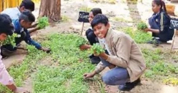 Children at Maharaja Pratap Nagar Primary School, Vadodara, were taught kitchen gardening and composting under the Mission Green School.