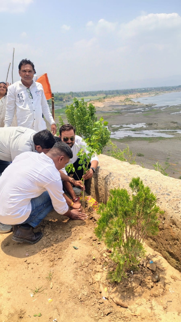 Tree plantation program organized in various talukas of Narmada district
