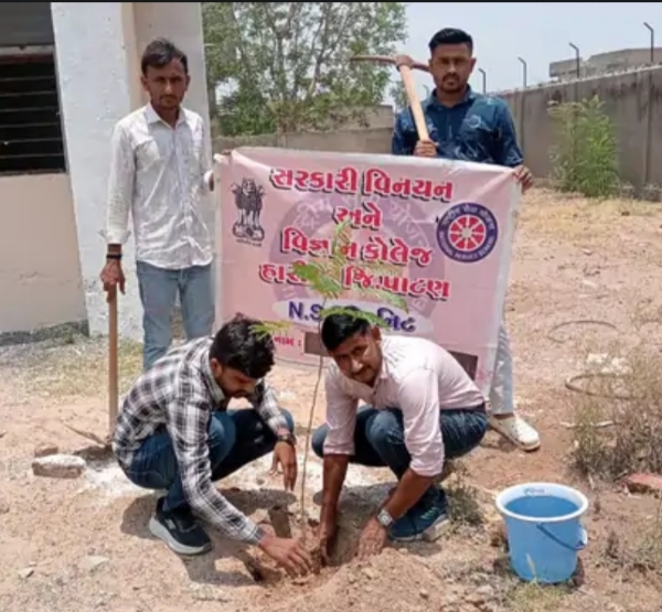 વિશ્વ પર્યાવરણ દિવસ નિમિત્તે   હારીજની સરકારી વિનયન અને વિજ્ઞાન કૉલેજ ખાતે NSS યુનિટ દ્વારા વૃક્ષારોપણ કાર્યક્રમ યોજાયો.