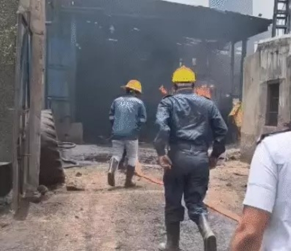 Fire breaks out at MSN Intermediates in Naroda GIDC area, one dead, 2 injured under treatment