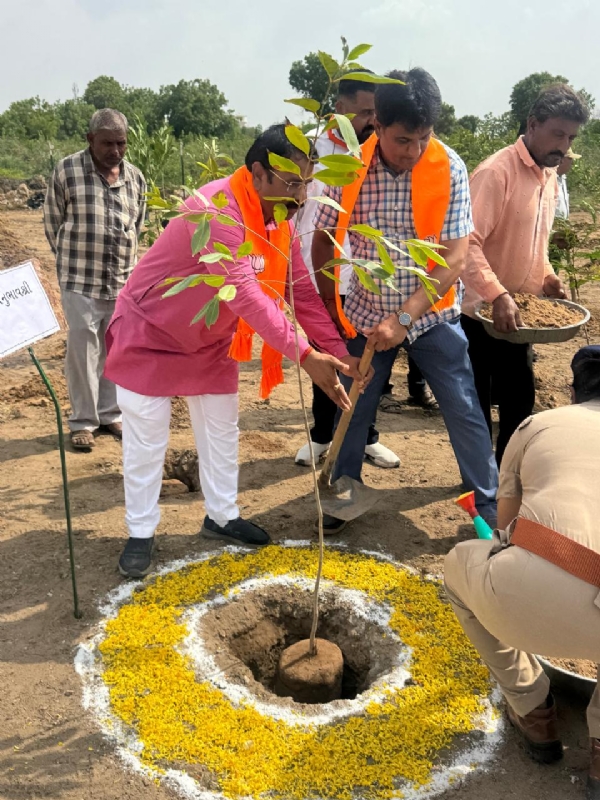 વિશ્વ પર્યાવરણ દિવસે ભાજપ મહામંત્રી ભગાજી ઠાકોરે કર્યું વૃક્ષારોપણ
