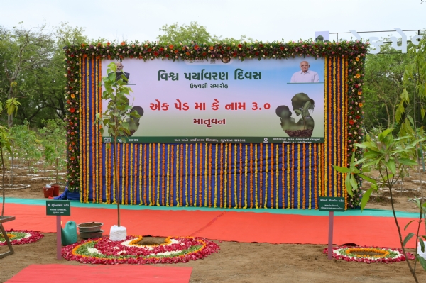 વૃક્ષારોપણ અભિયાનની રાજ્યવ્યાપી શરૂઆત