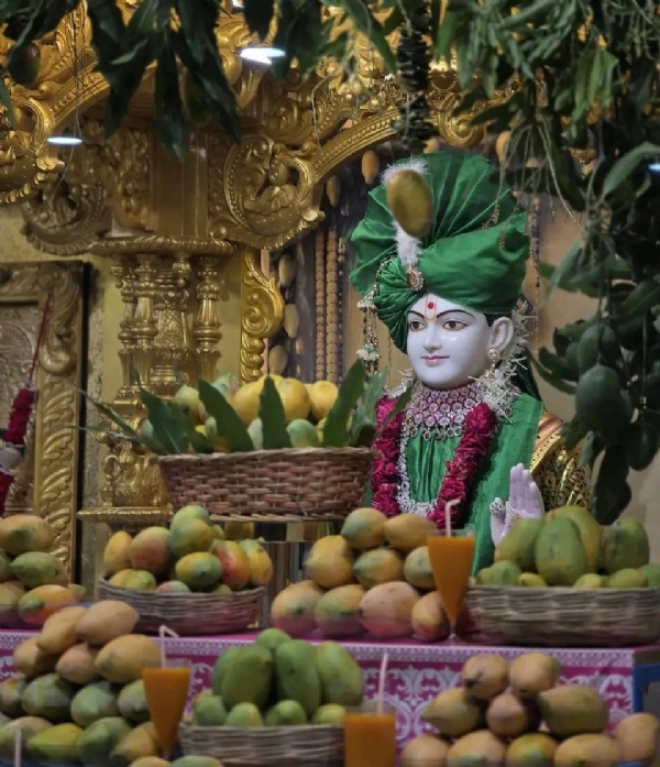 ઊંઝા SMVS સ્વામિનારાયણ મંદિરમાં 551 કિલો કેરીથી આમ્ર ઉત્સવની ભવ્ય ઉજવણી