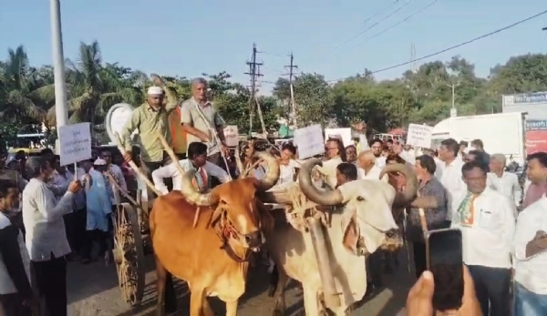 જંબુસરમાં ડીઝલની અછત, મોંઘવારી અને ખેડૂતોના પ્રશ્ને કોંગ્રેસનું અનોખું વિરોધ પ્રદર્શન
