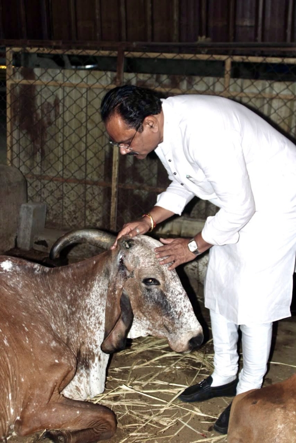 ગૌશાળા ની મુકાલત લેતા જીતુભાઈ