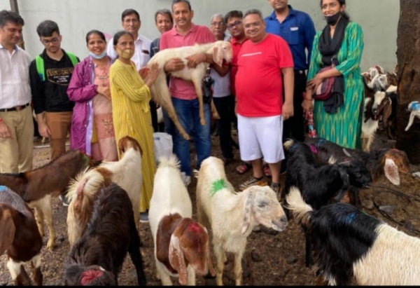જીવદયા માટે દાતાઓ દ્વારા અપાયું દાન જીવદયા માટે દાતાઓ દ્વારા અપાયું દાન
