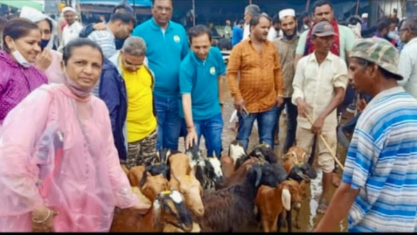 જીવદયા માટે દાતાઓ દ્વારા અપાયું દાન જીવદયા માટે દાતાઓ દ્વારા અપાયું દાન