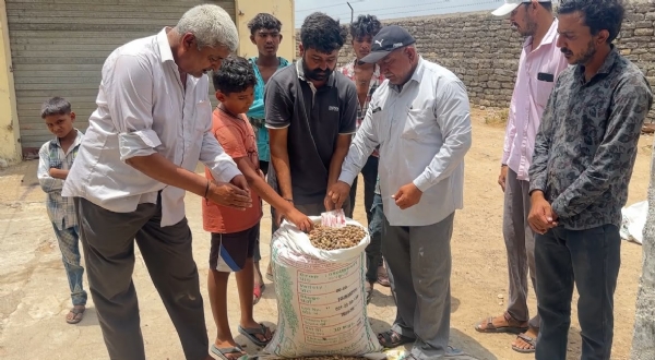 પોરબંદરમાં મગફળીના બિયારણમાં કૌભાંડની ગંધ.