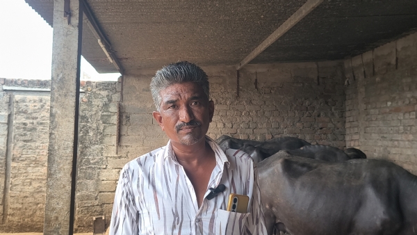 એવોર્ડ વિજેતા પશુપાલક