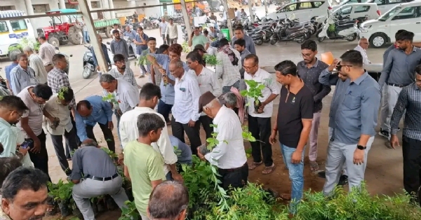સહકાર સપ્તાહ નિમિત્તે APMC ઊંઝા દ્વારા નિઃશુલ્ક રોપા વિતરણ, હરિયાળા ભવિષ્યનો સંદેશ સહકાર સપ્તાહ નિમિત્તે APMC ઊંઝા દ્વારા નિઃશુલ્ક રોપા વિતરણ, હરિયાળા ભવિષ્યનો સંદેશ