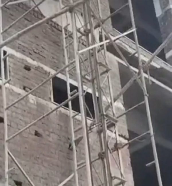 Surat