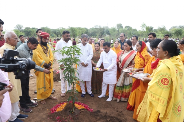 સામૂહિક વૃક્ષારોપણ સામૂહિક વૃક્ષારોપણ