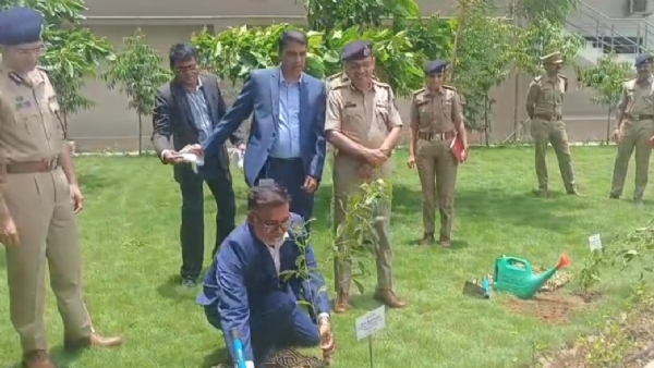 વૃક્ષારોપણ
