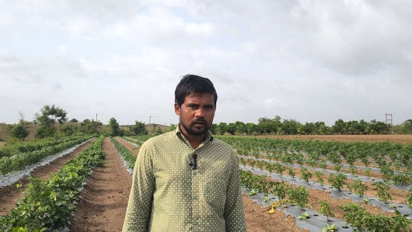 યુવા ખેડૂત યુવા ખેડૂત