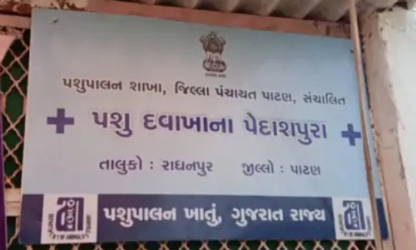 રાધનપુર તાલુકાના  પેદાશપુરામાં પશુ દવાખાનાનું ઉદ્ઘાટન, નવા મકાનનું ખાતમુહૂર્ત