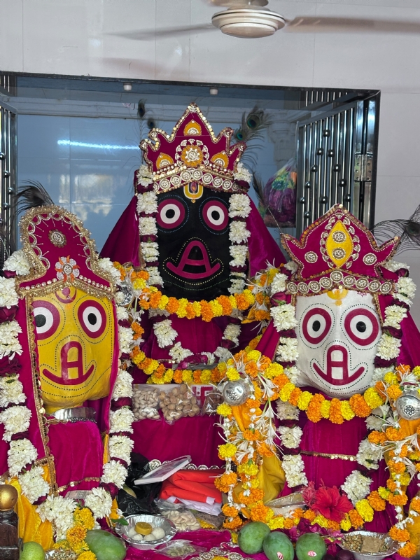 પોરબંદરમાં 200 વર્ષ જૂના ઐતિહાસિક રથમાં ભગવાન જગન્નાથ બિરાજ્યા, ભક્તોએ કીધા દર્શન. પોરબંદરમાં 200 વર્ષ જૂના ઐતિહાસિક રથમાં ભગવાન જગન્નાથ બિરાજ્યા, ભક્તોએ કીધા દર્શન.