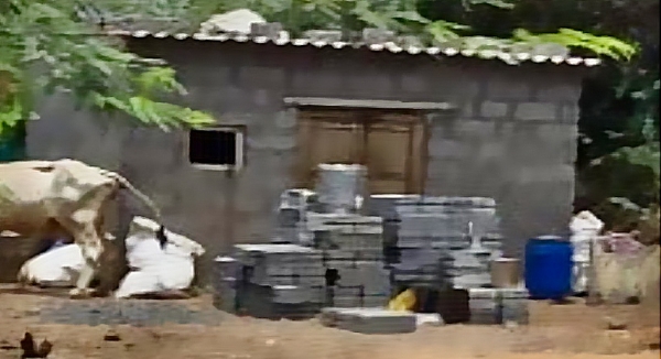 દબાણ હટાવ કામગીરી દબાણ હટાવ કામગીરી