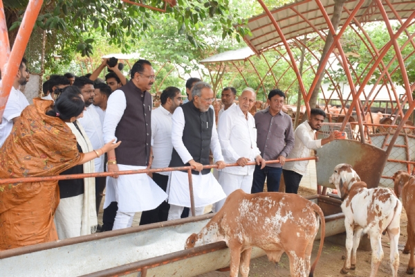 પશુપાલન મંત્રીએ ધરમપુર સ્થિત ગીર કાઉસેન્ચ્યુરીની મુલાકાત લઈને કામગીરીની સમીક્ષા કરી. પશુપાલન મંત્રીએ ધરમપુર સ્થિત ગીર કાઉસેન્ચ્યુરીની મુલાકાત લઈને કામગીરીની સમીક્ષા કરી.