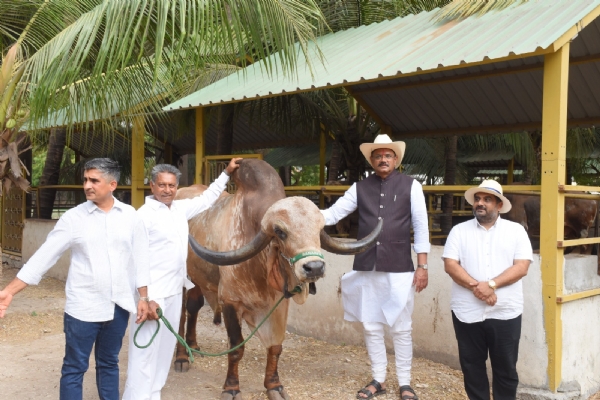 પોરબંદરની બાહરીયા ગૌશાળાની કૃષિ અને પશુપાલન મંત્રી તથા વન અને પર્યાવરણ મંત્રીએ મુલાકાત કરી. પોરબંદરની બાહરીયા ગૌશાળાની કૃષિ અને પશુપાલન મંત્રી તથા વન અને પર્યાવરણ મંત્રીએ મુલાકાત કરી.