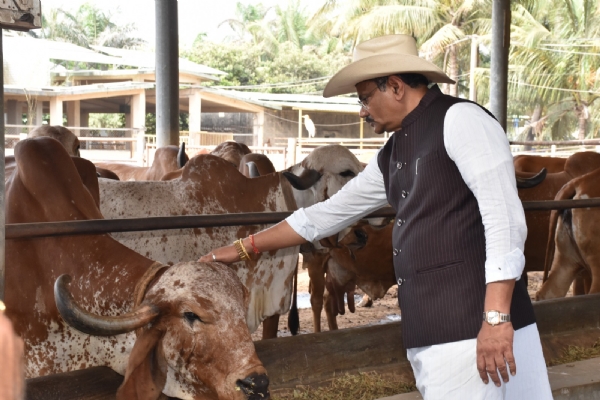 પોરબંદરની બાહરીયા ગૌશાળાની કૃષિ અને પશુપાલન મંત્રી તથા વન અને પર્યાવરણ મંત્રીએ મુલાકાત કરી. પોરબંદરની બાહરીયા ગૌશાળાની કૃષિ અને પશુપાલન મંત્રી તથા વન અને પર્યાવરણ મંત્રીએ મુલાકાત કરી.