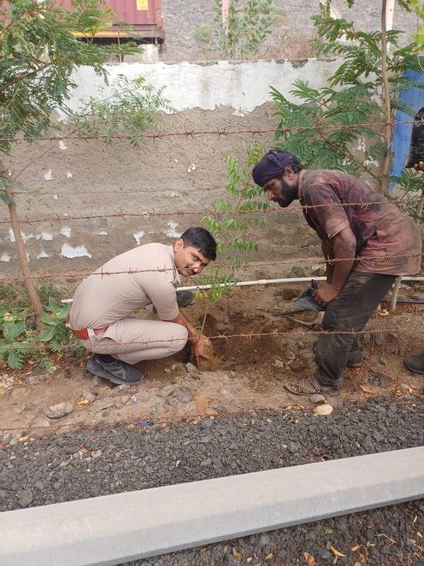ભચાઉ પોલીસ દ્વારા વૃક્ષારોપણ કરવામાં આવ્યું ભચાઉ પોલીસ દ્વારા વૃક્ષારોપણ કરવામાં આવ્યું