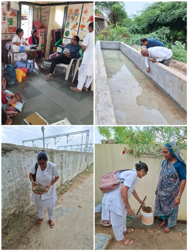 જુલાસણ મમતા ડેની તાલુકા હેલ્થ ઓફિસરે મુલાકાત લીધી, પોરાનાશક કામગીરીનું ક્રોસચેકિંગ કરાયું