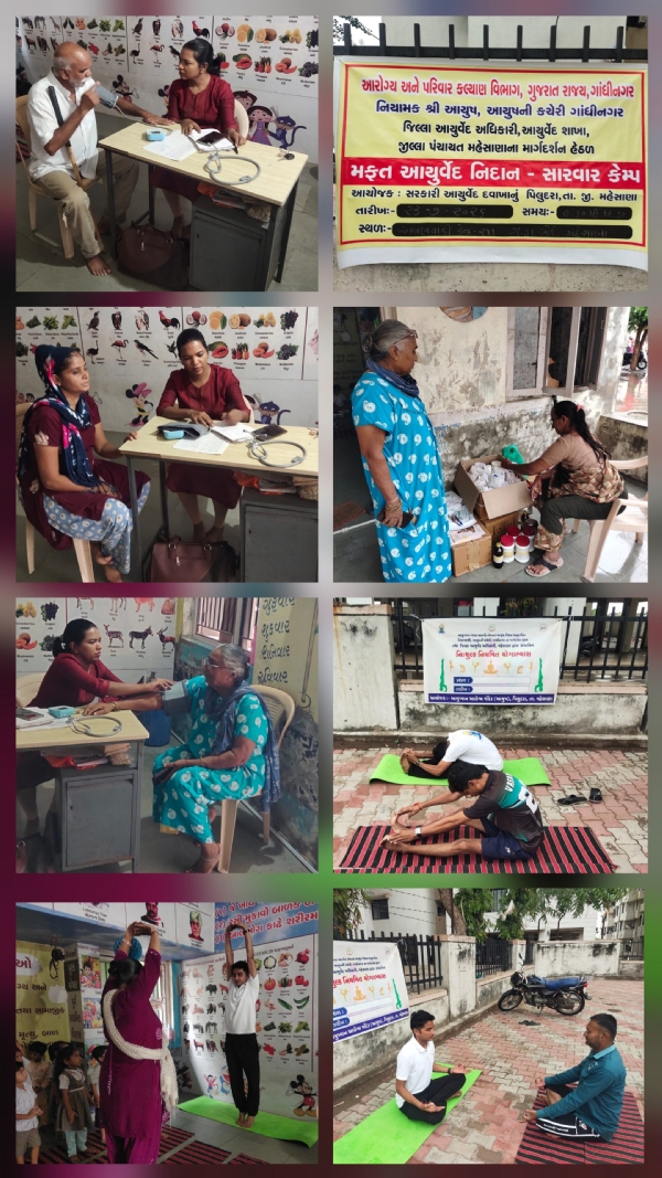મહેસાણામાં સર્વરોગ આયુષ નિદાન અને સારવાર કેમ્પ યોજાયો મહેસાણામાં સર્વરોગ આયુષ નિદાન અને સારવાર કેમ્પ યોજાયો