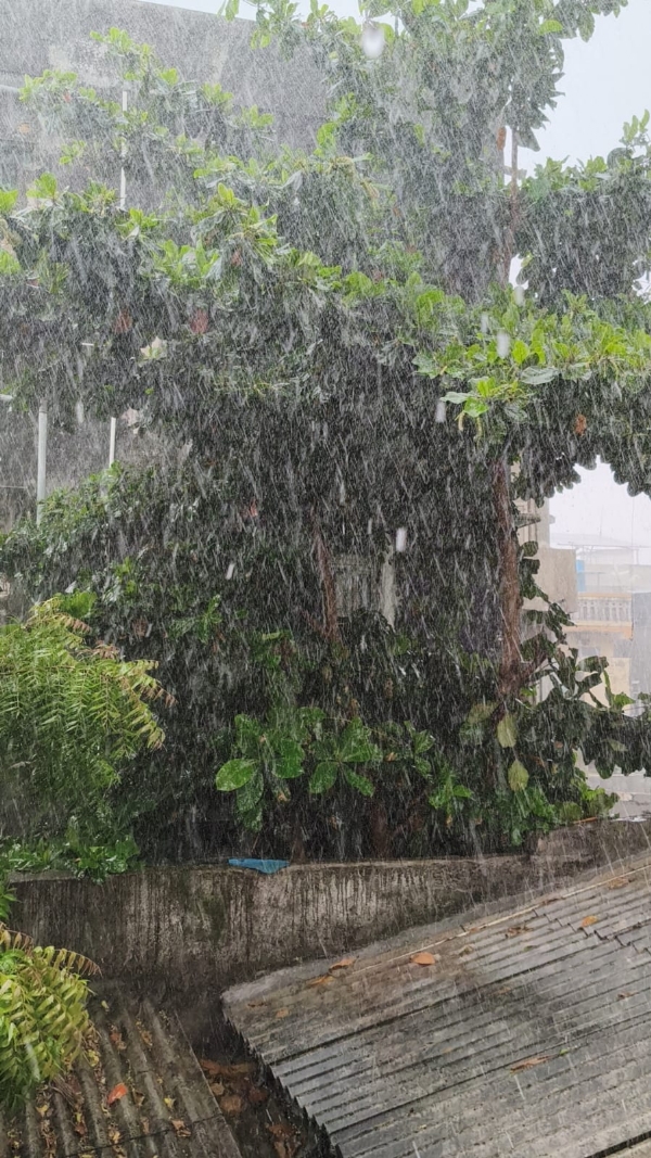 જિલ્લામાં આજે વહેલી સવારથી ઝરમર વરસાદ ચાલુ