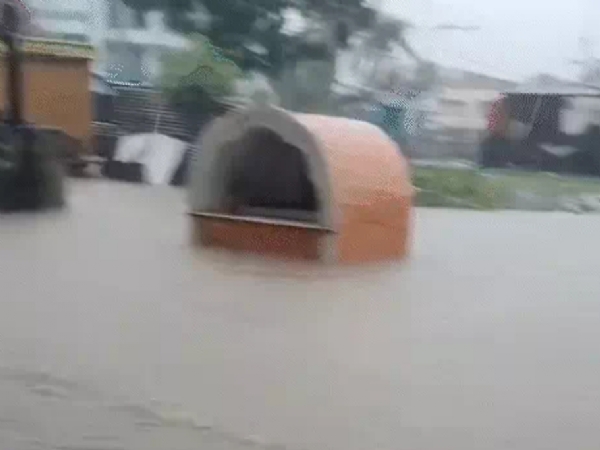 ગુજરાતમાં ભારે વરસાદ ગુજરાતમાં ભારે વરસાદ