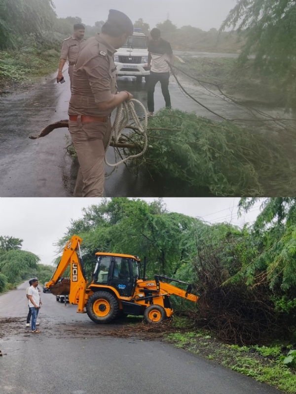 ભારે વરસાદ વચ્ચે મહેસાણા પોલીસની સતત રાહત કામગીરી, રસ્તા પરથી વૃક્ષો હટાવ્યા અને ફસાયેલા વાહનોને મદદ ભારે વરસાદ વચ્ચે મહેસાણા પોલીસની સતત રાહત કામગીરી, રસ્તા પરથી વૃક્ષો હટાવ્યા અને ફસાયેલા વાહનોને મદદ