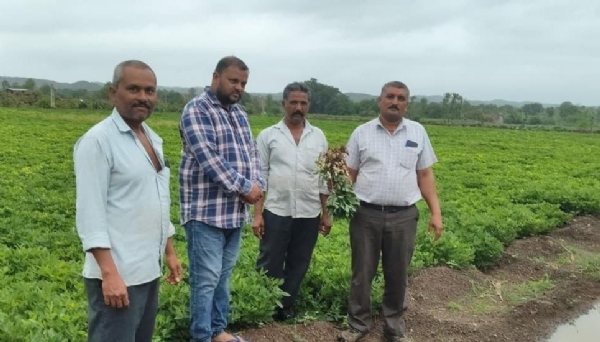 ખેતી અધિકારી દ્વારા મુલાકાત લેવામાં આવી ખેતી અધિકારી દ્વારા મુલાકાત લેવામાં આવી
