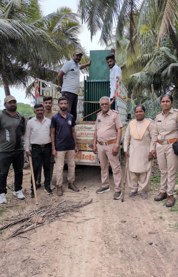 કદવાર ગામે કૂવામાં પડેલા દીપડાનું વન વિભાગ દ્વારા