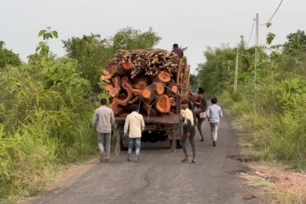 લાકડાની હેરાફેરી લાકડાની હેરાફેરી
