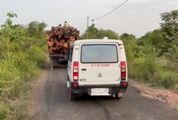 લાકડાની હેરાફેરી લાકડાની હેરાફેરી