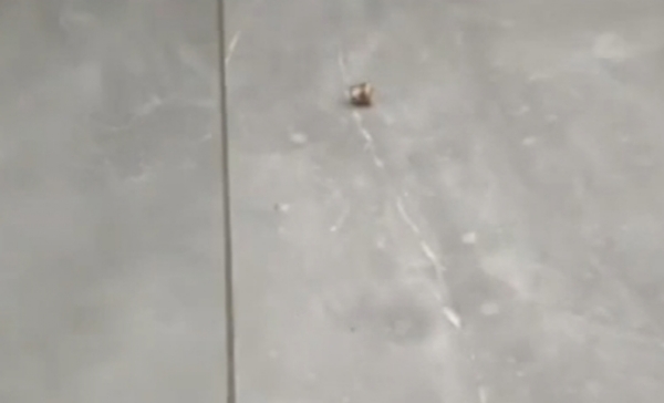 ગોળી ગોળી